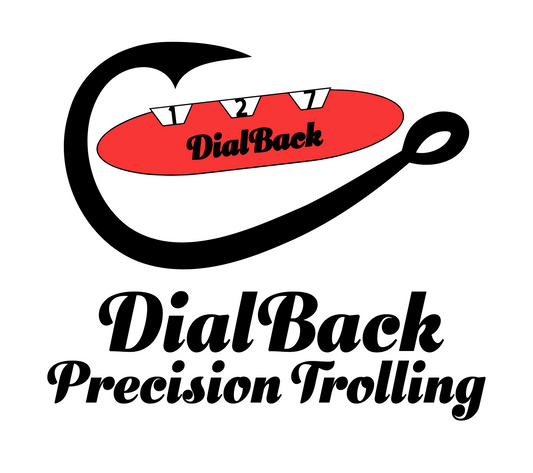 UV DTF DECALS!