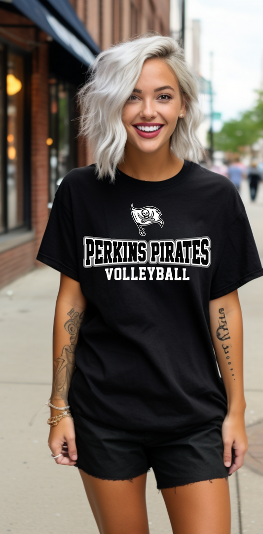 PERKINS VOLLEYBALL